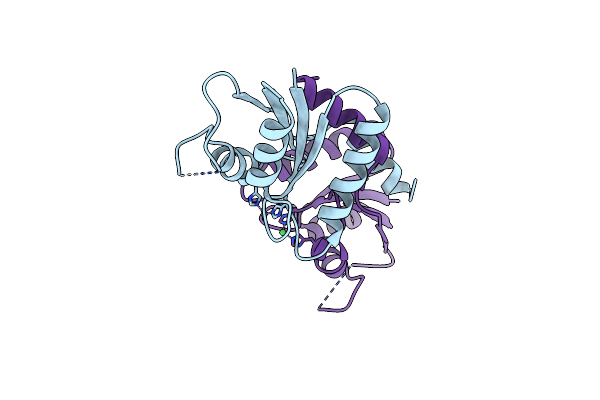 8IYU image