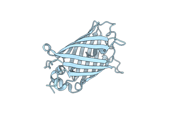 8IZ2 image