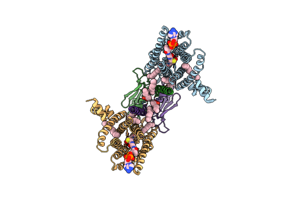 8IZD image