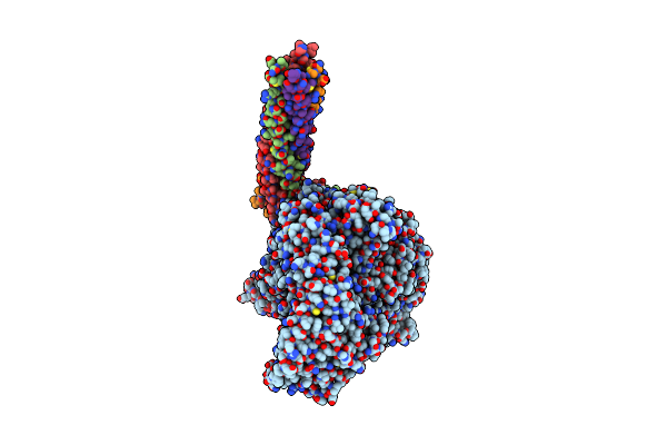 8IZL image