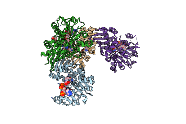 8J1C image