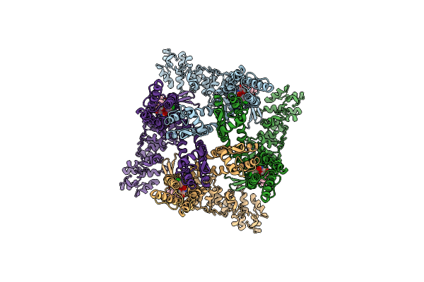 8J1F image