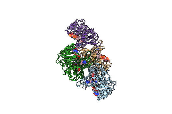 8J1G image