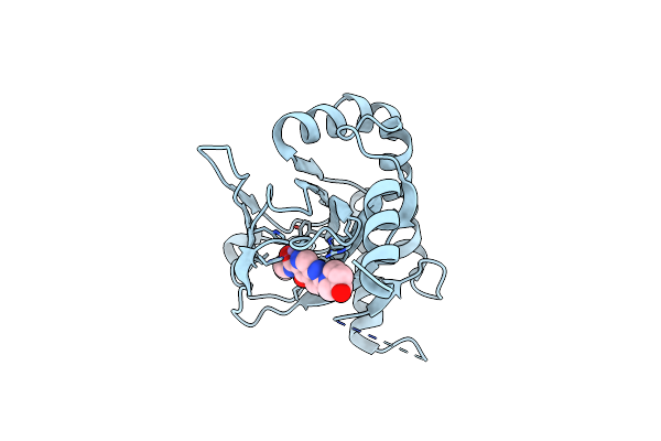 8J1K image
