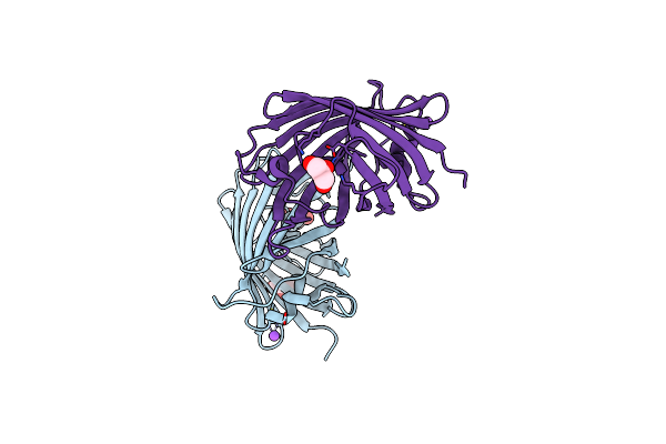 8J2H image