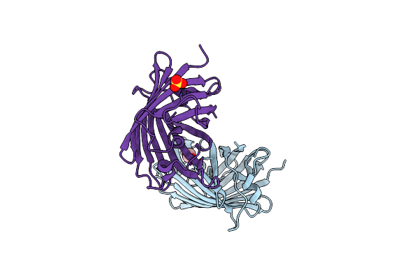 8J2J image