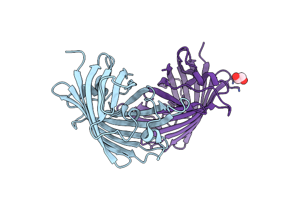 8J2K image