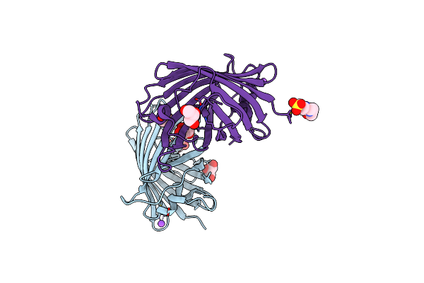 8J2L image