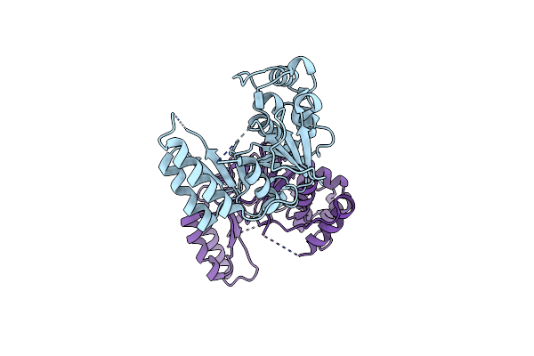 8J2N image