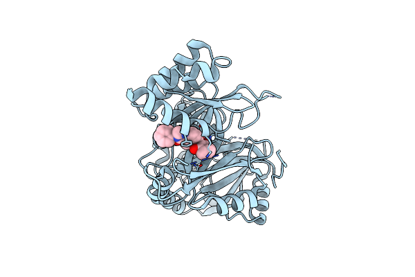 8J3C image