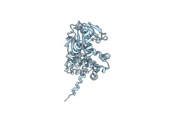 8J3I image
