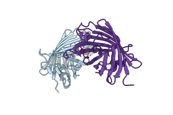 8J3J image