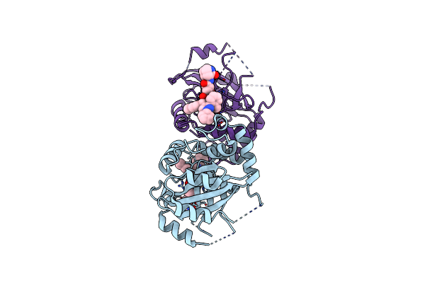 8J3T image