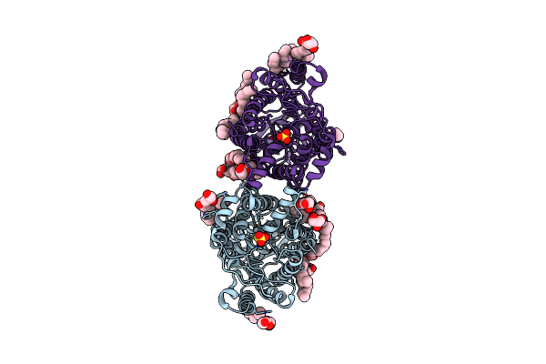 8J4C image