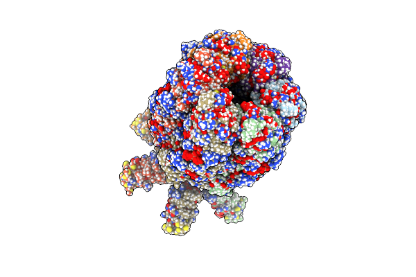 8J4I image