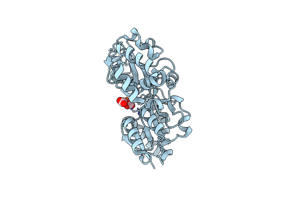 8J4J image