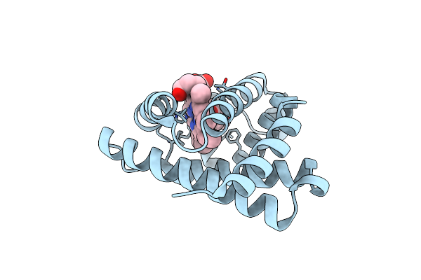 8J4K image