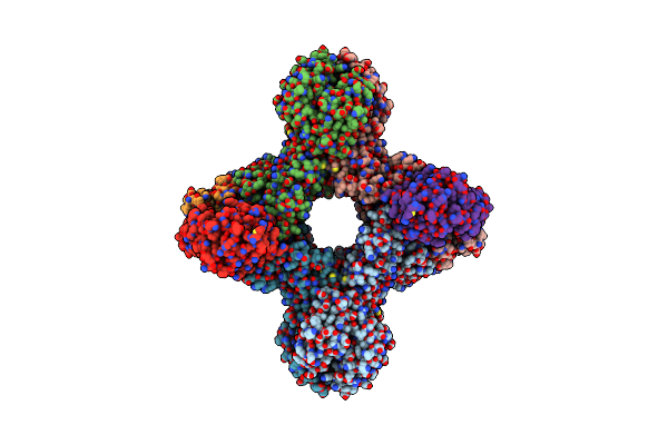 8J4T image