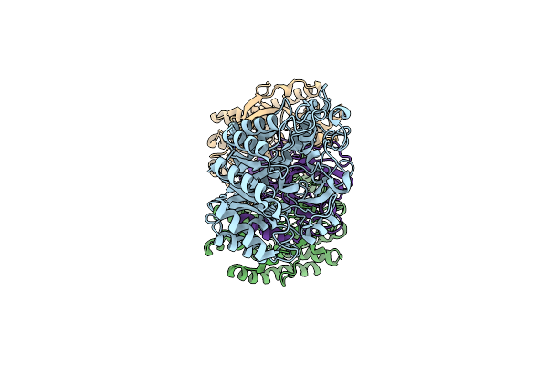 8J5D image