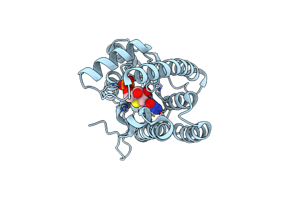 8J5G image