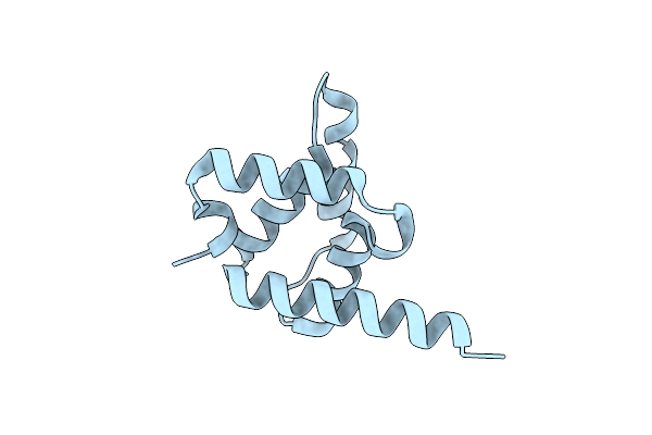 8J5I image