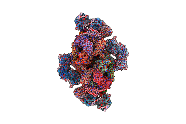 8J5K image