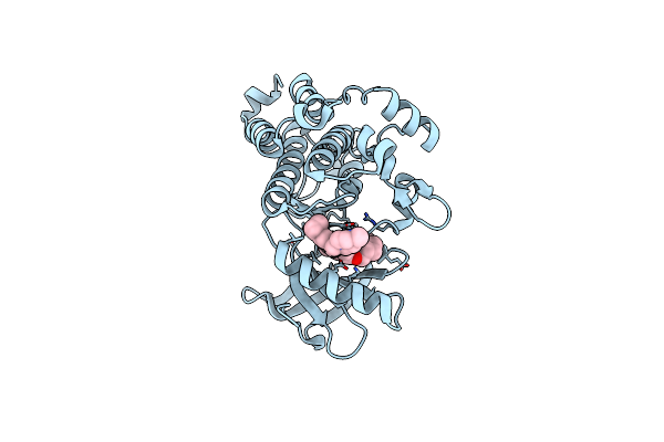 8J5X image