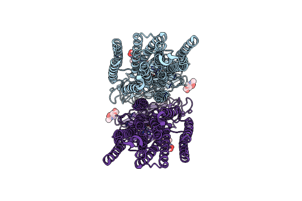 8J6O image