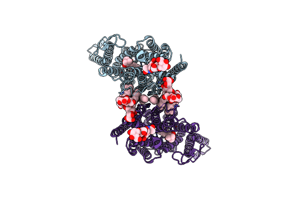 8J74 image