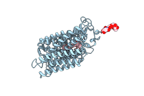 8J75 image