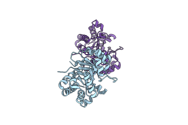 8J7C image