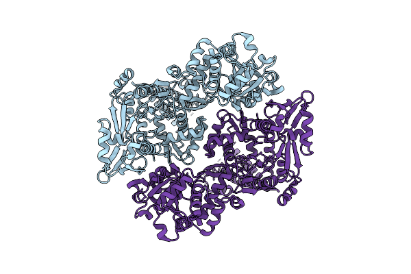 8J8C image