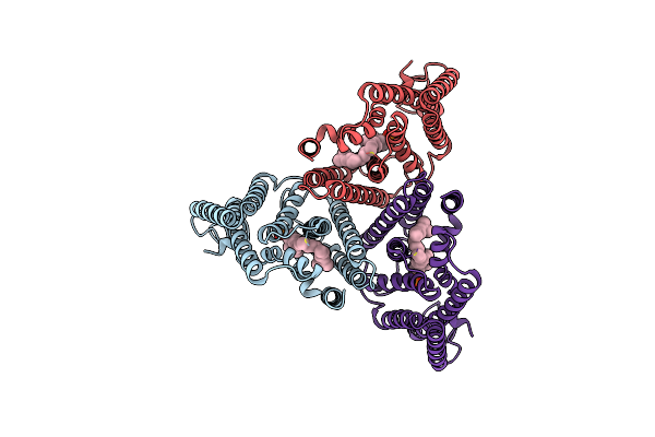 8J8K image