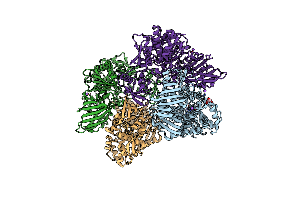 8J9C image