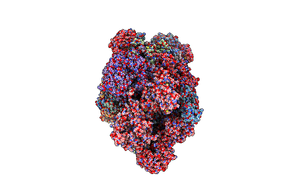 8J9I image