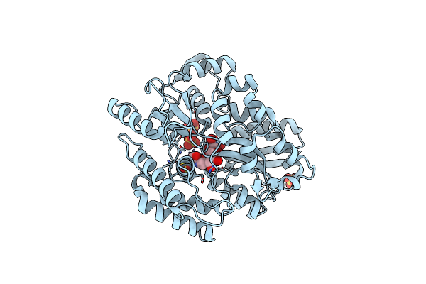 8JAC image
