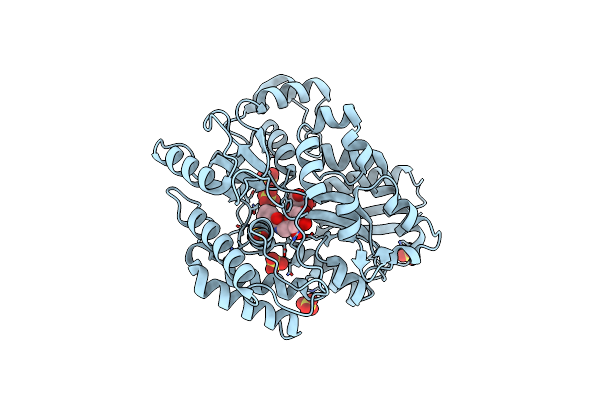 8JAD image