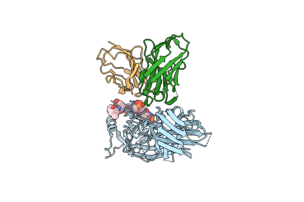 8JAF image