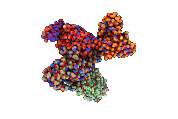 8JBF image