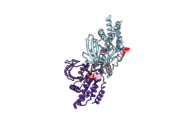 8JBN image