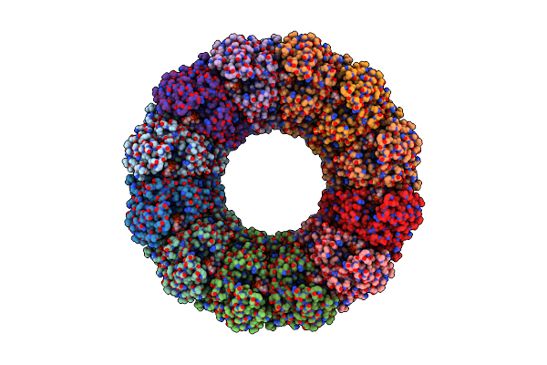 8JCE image