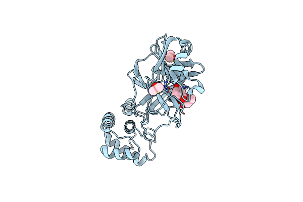 8JCK image