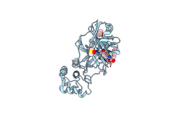 8JCM image