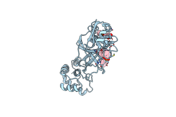 8JCN image