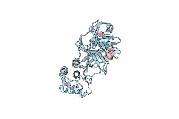 8JCO image