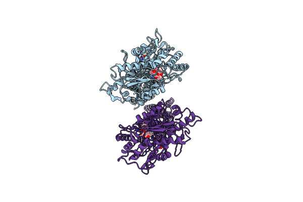 8JCV image