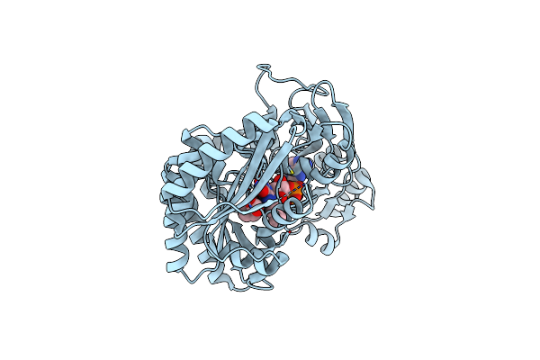 8JDG image