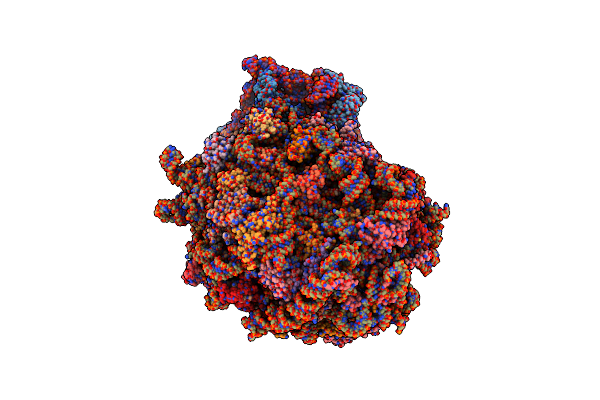 8JDK image