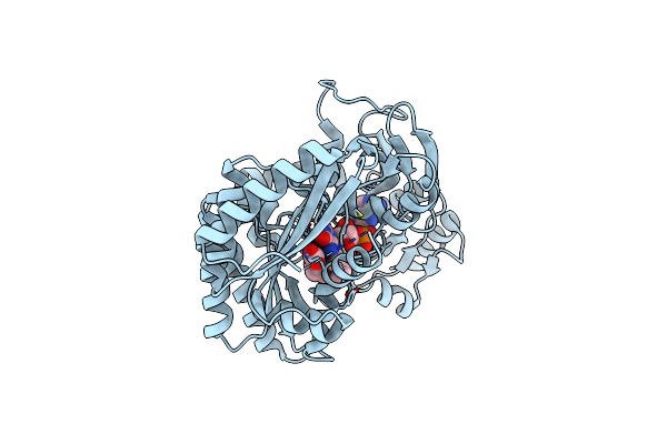 8JDV image