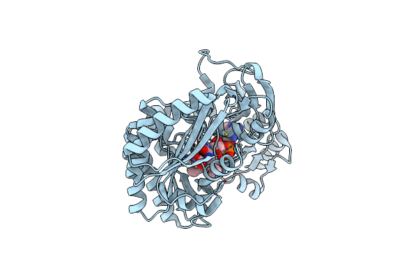 8JDX image